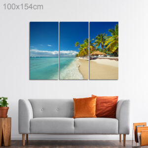 Tropical Island Beach on a Sunny Day