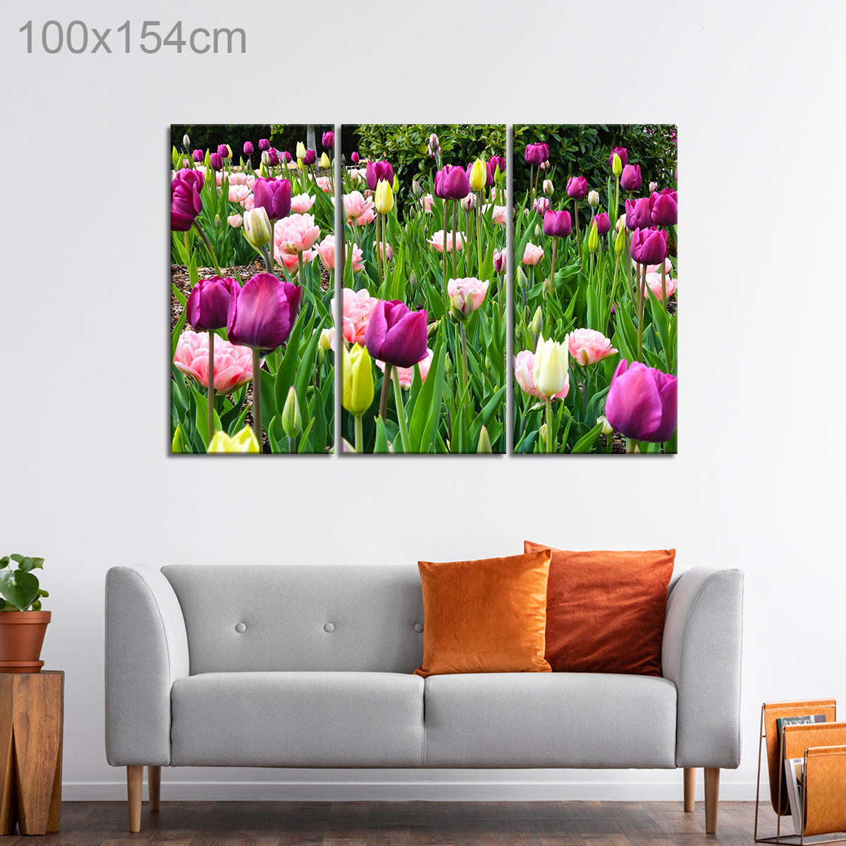 Tulip and Carnation Field