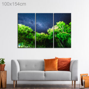 Milky Way over a Forest