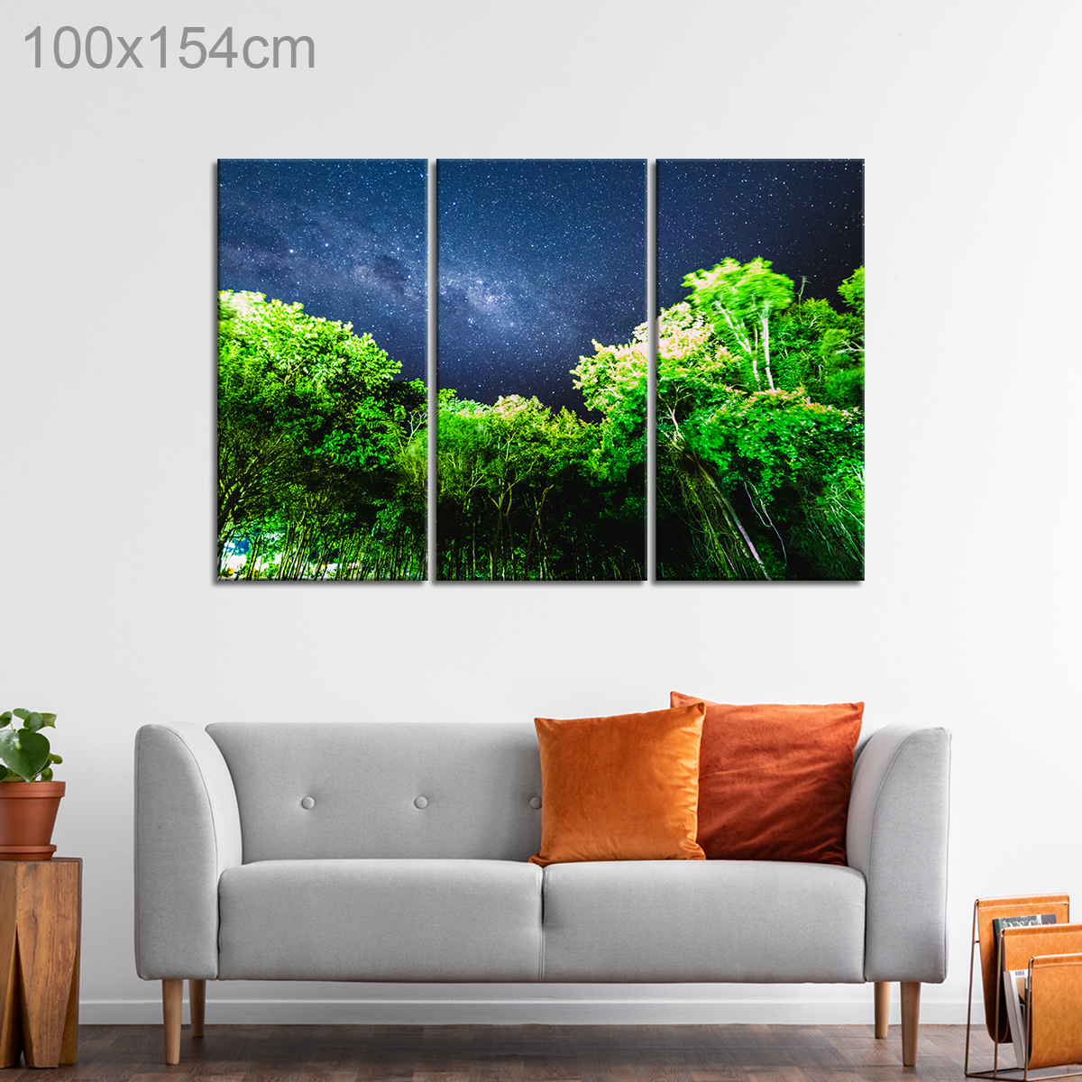 Milky Way over a Forest