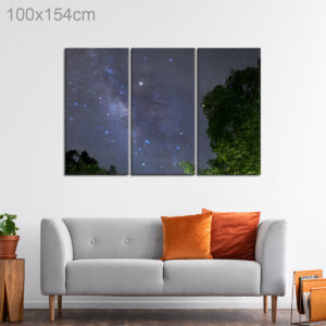 Milky Way over a Forest