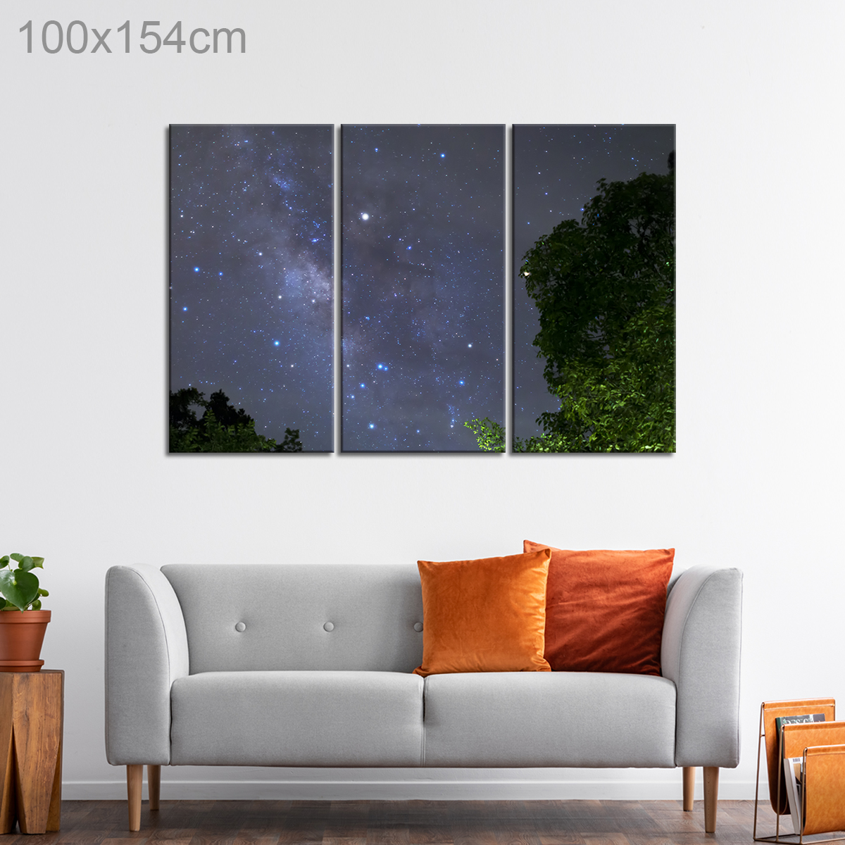 Milky Way over a Forest