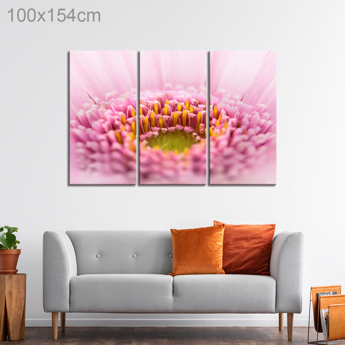 Pink Blooming Flower