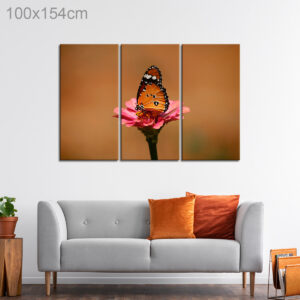 Monarch Butterfly on a Pink Flower