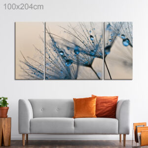 Dewdrops on a Dandelion Seed