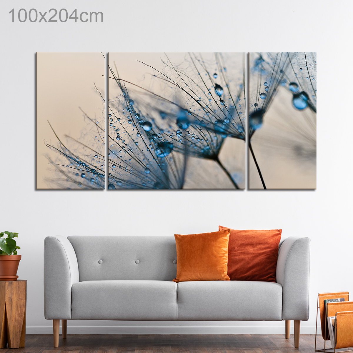 Dewdrops on a Dandelion Seed