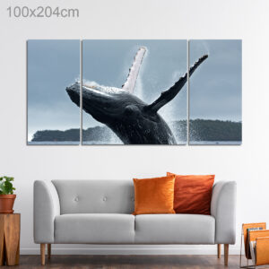 Humpback Whale in Vava'u Island, Tonga