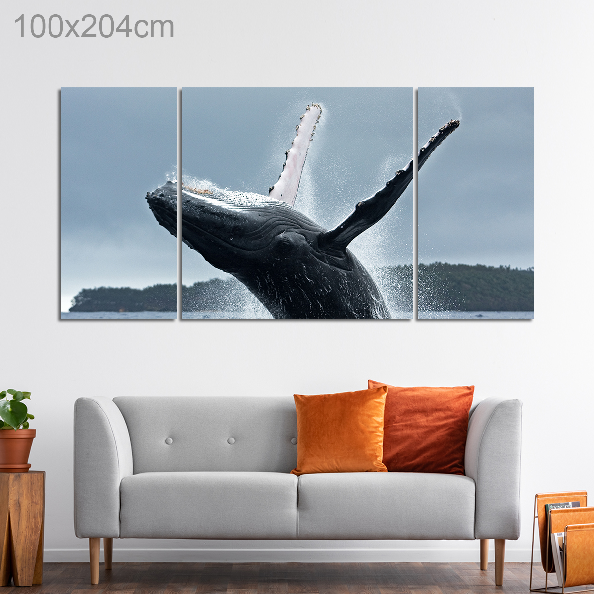 Humpback Whale in Vava'u Island, Tonga