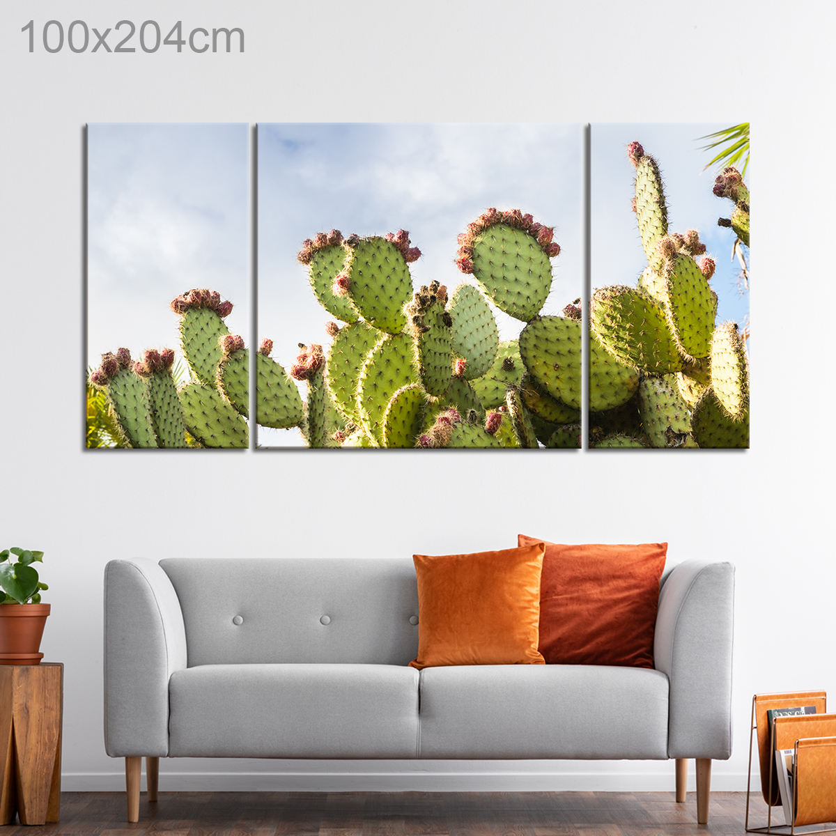 Cacti