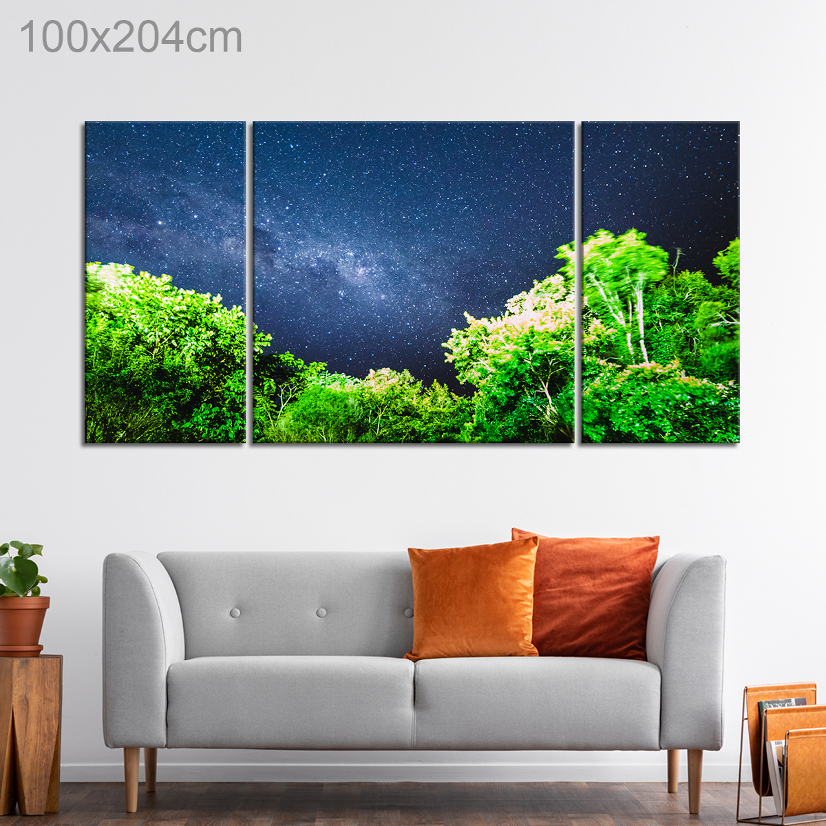 Milky Way over a Forest