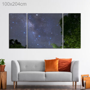 Milky Way over a Forest