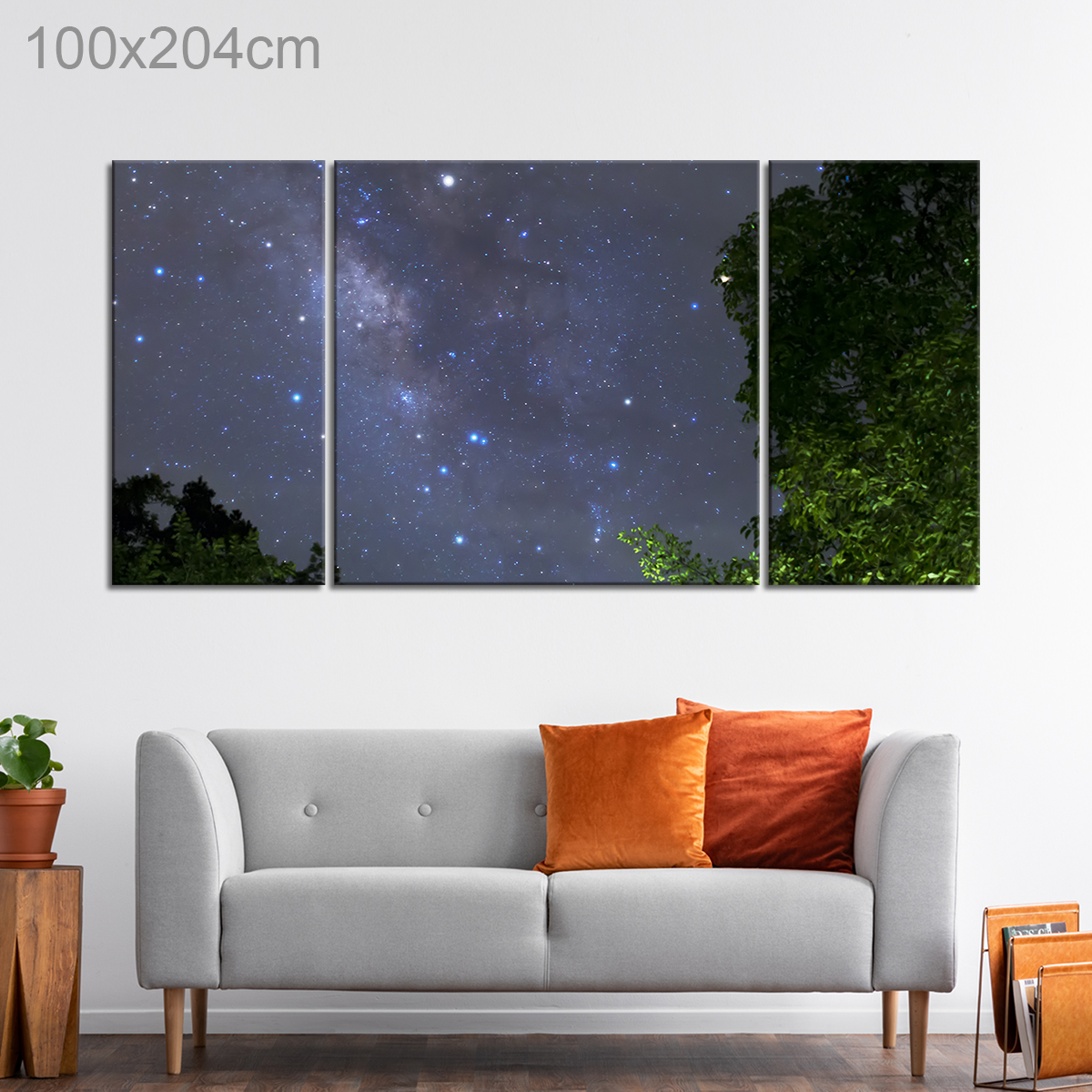 Milky Way over a Forest