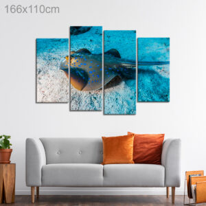 Blue Spotted Stingray swimming on the Seabed of the Red Sea