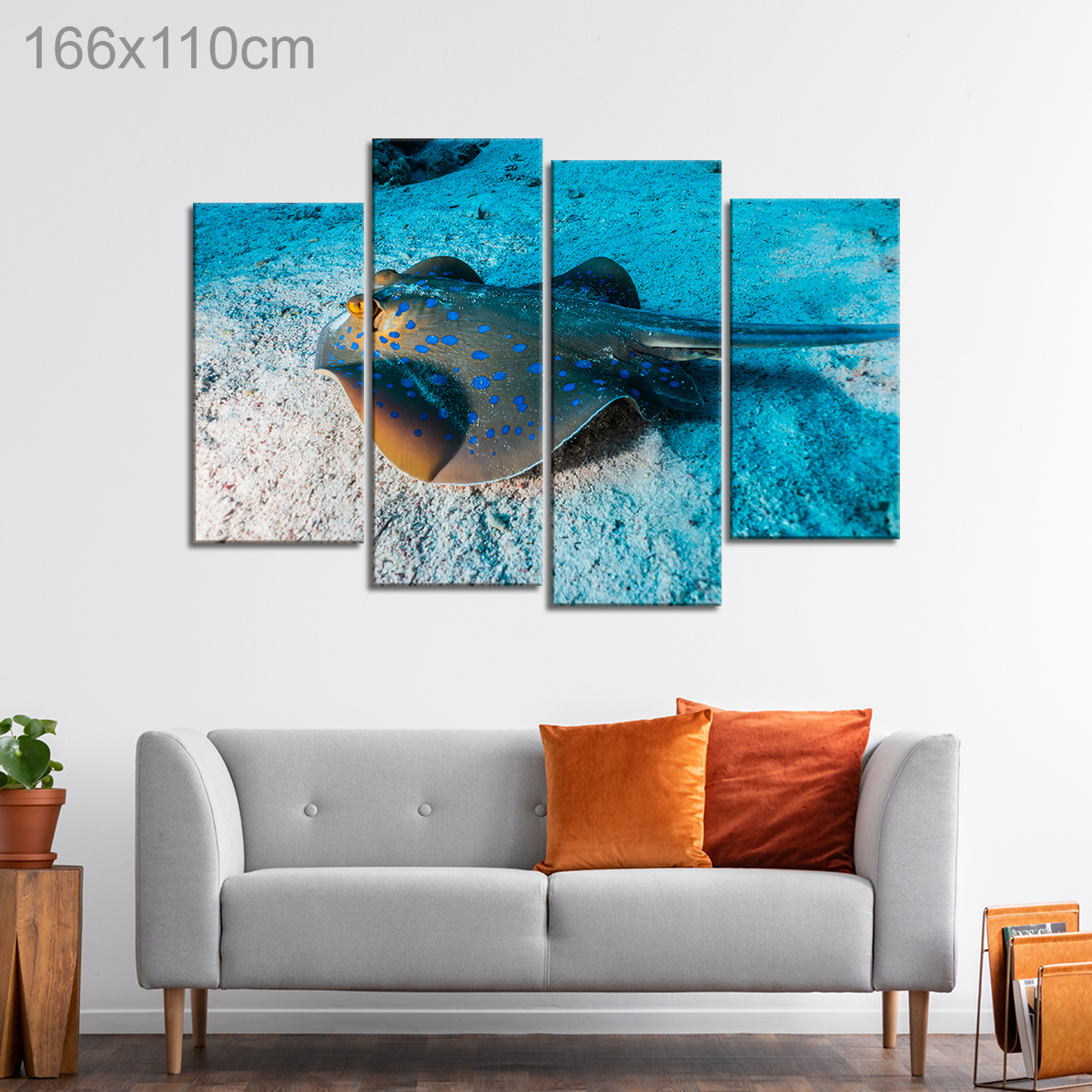 Blue Spotted Stingray swimming on the Seabed of the Red Sea