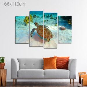 Sea Turtle Swimming in a Reef