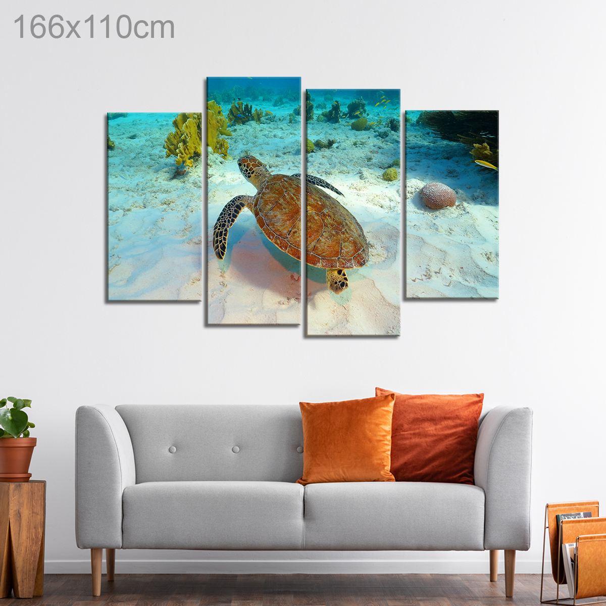 Sea Turtle Swimming in a Reef