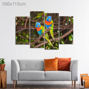 Multi-Colored Lori Parrots'