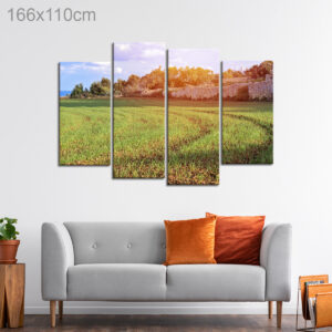 Wheat Fields of Maltese Landscapes