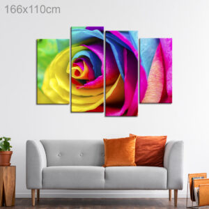 Colorful Rose Close Up