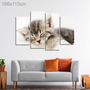 Adorable Sleepy Kitten