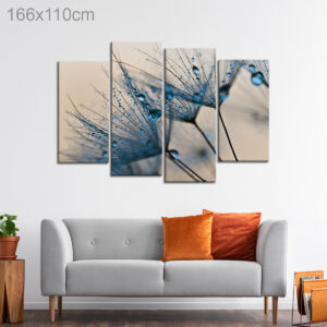 Dewdrops on Dandelion Seeds