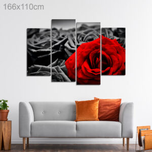 Red Rose on a Black Background