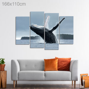 Humpback Whale in Vava’u Island, Tonga