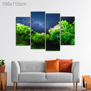 Milky Way over a Forest