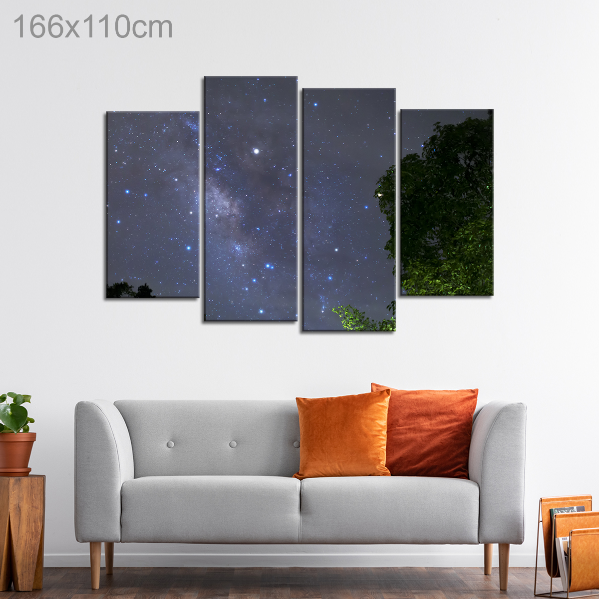 Milky Way over a Forest