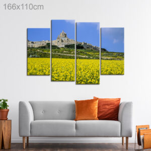 Flower Field beside Mdina, Malta