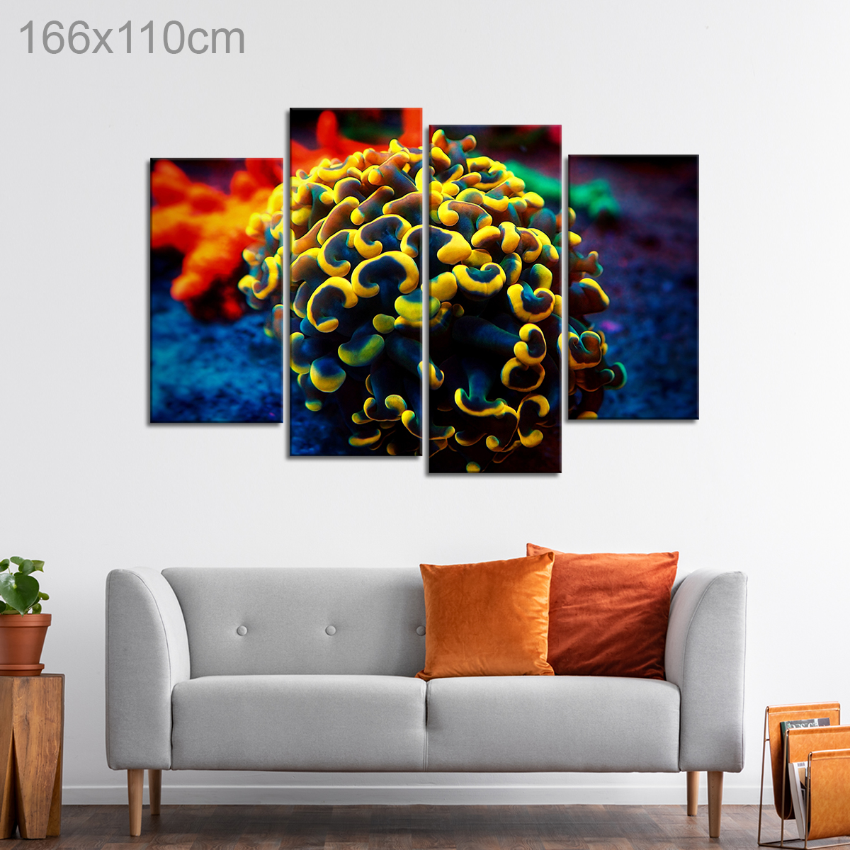 Euphyllia Hammer Coral