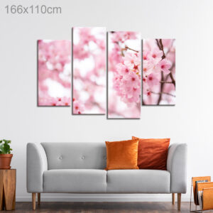 Cherry Blossoms