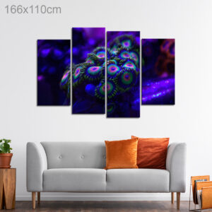 Rasta Zoanthid Coral