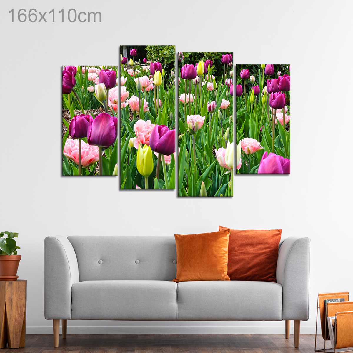 Tulip and Carnation Field