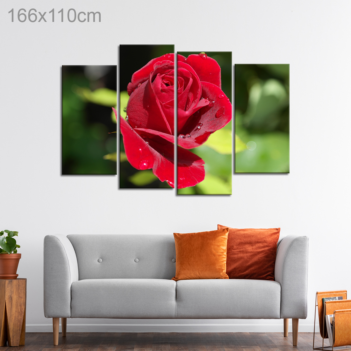 Close Up of a Red Rose