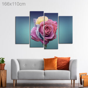 Dewdrops on a Colorful Rose