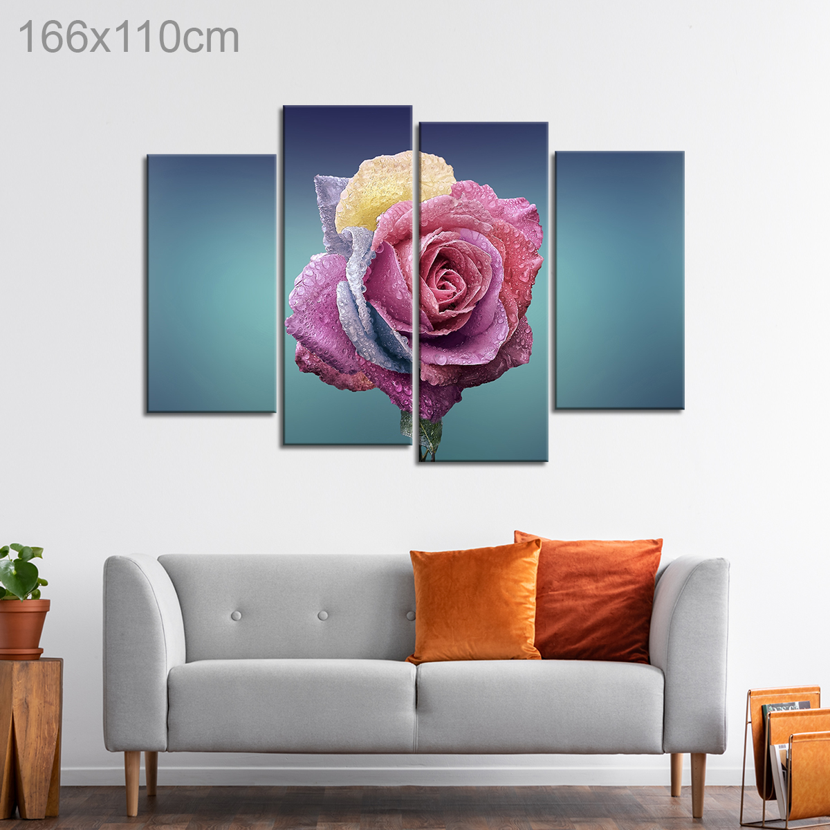 Dewdrops on a Colorful Rose