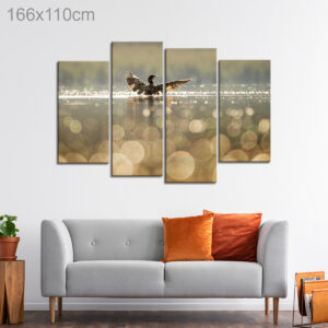 Duck Swimming in a Lake