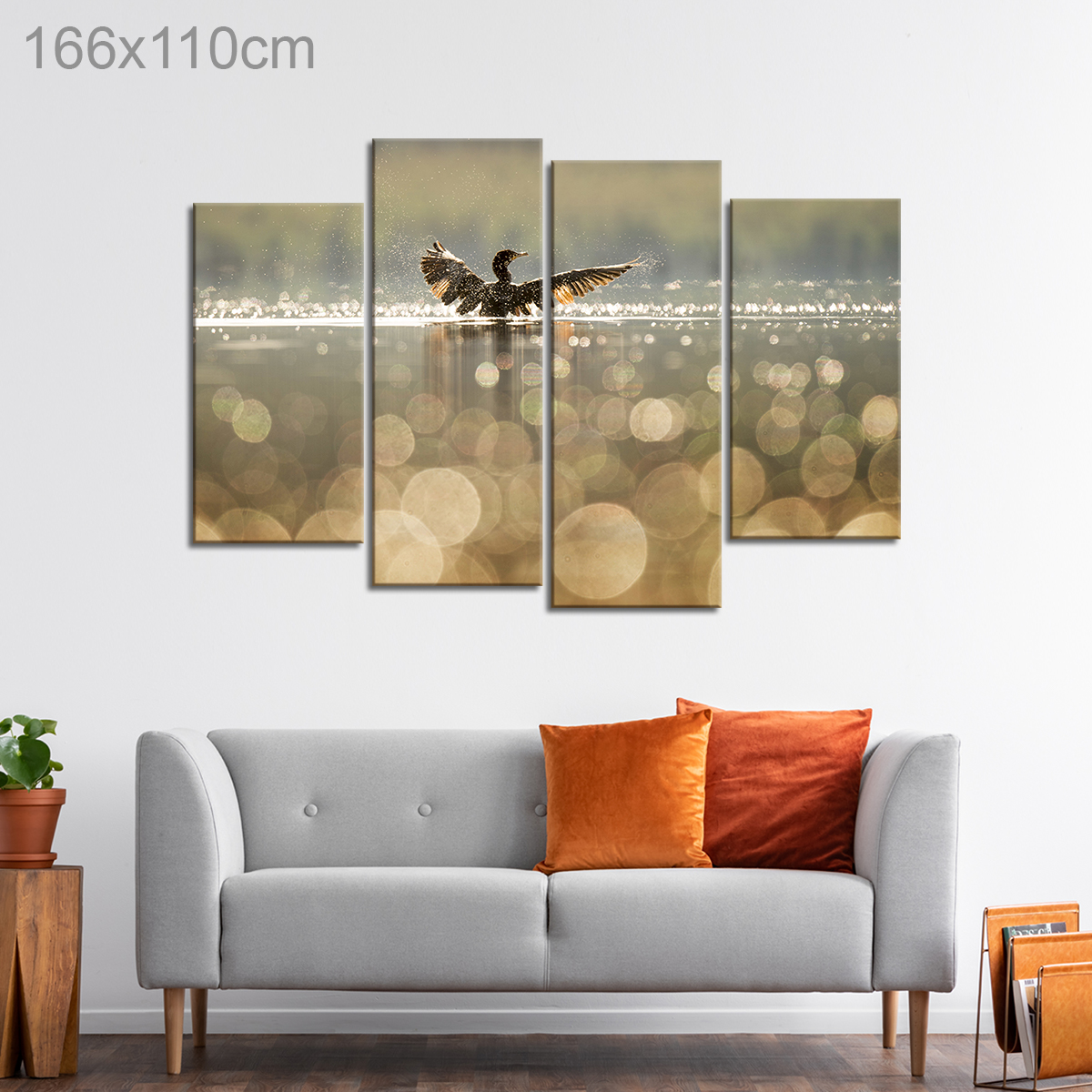 Duck Swimming in a Lake