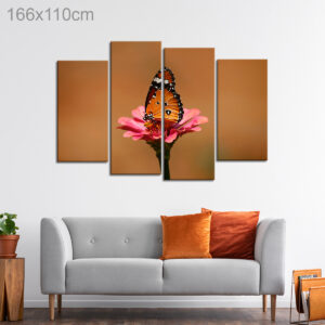 Monarch Butterfly on a Pink Flower