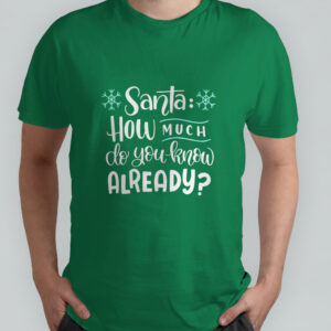 Santa how much do you know already?