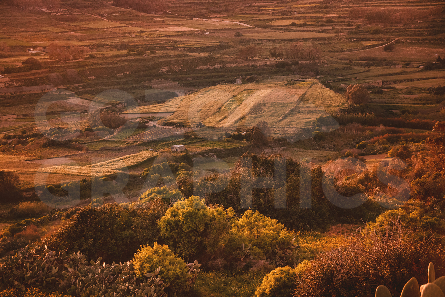 Countryside - Image 3