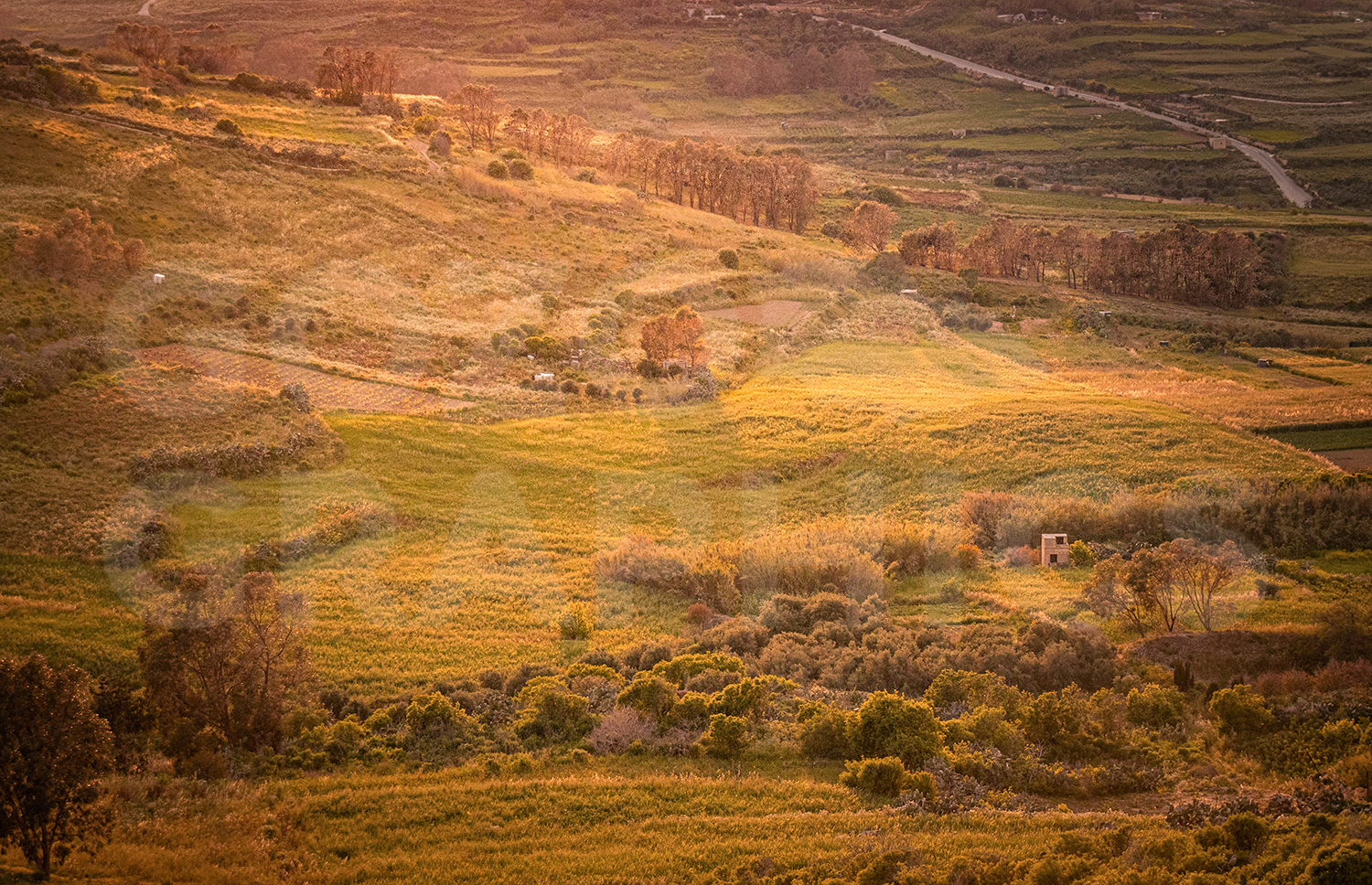 Countryside B - Image 3