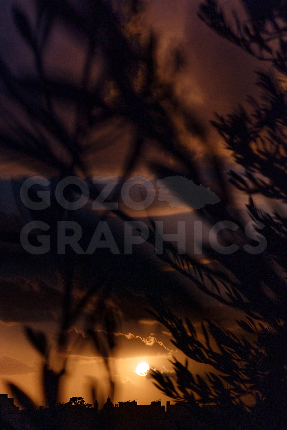 End of Day - Image 3