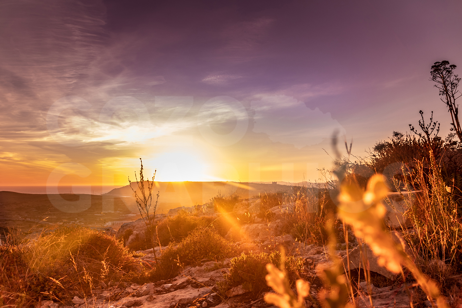 Rays of Light - Image 3