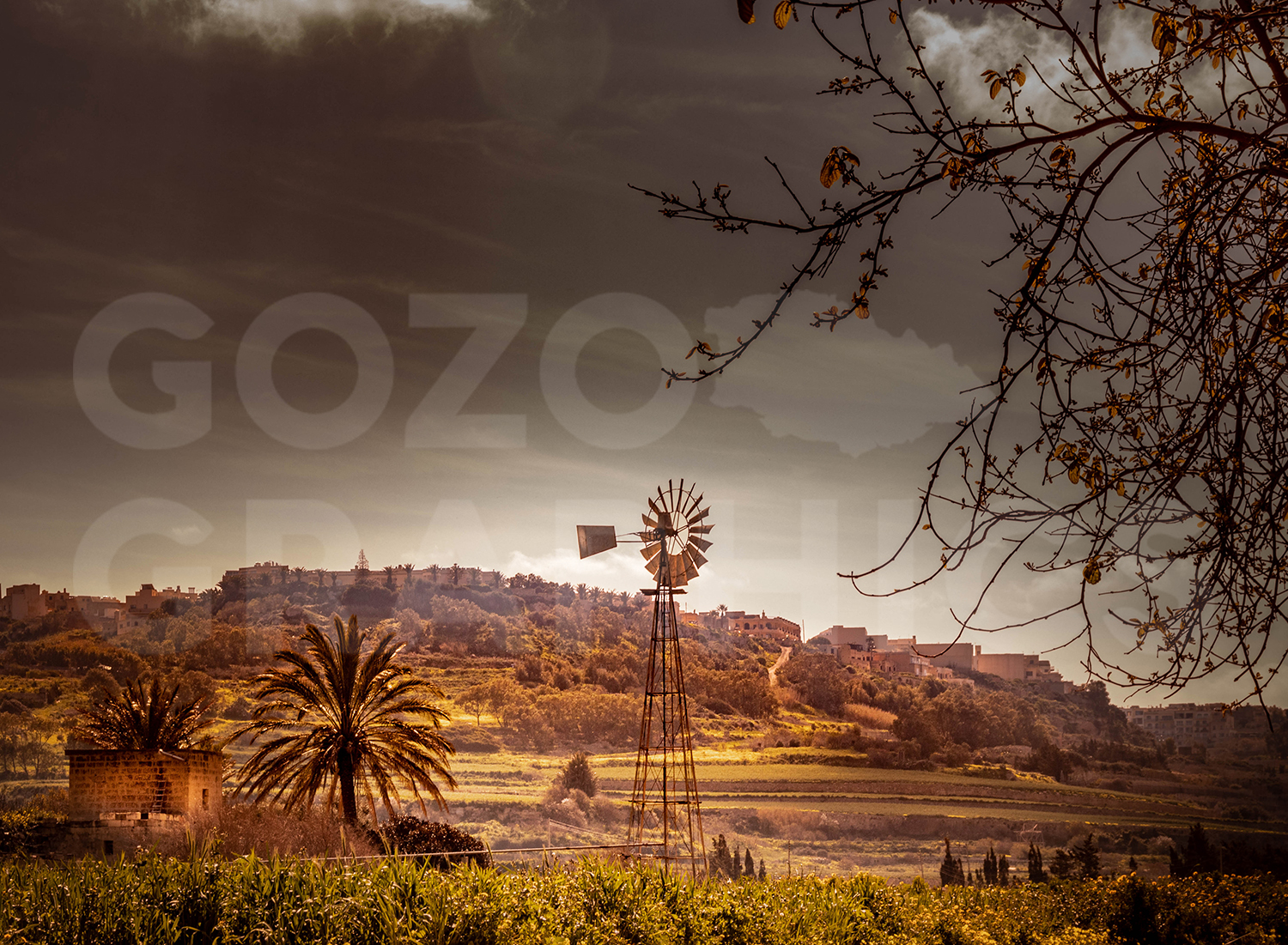 The Smile of Honey and Gold - Image 3