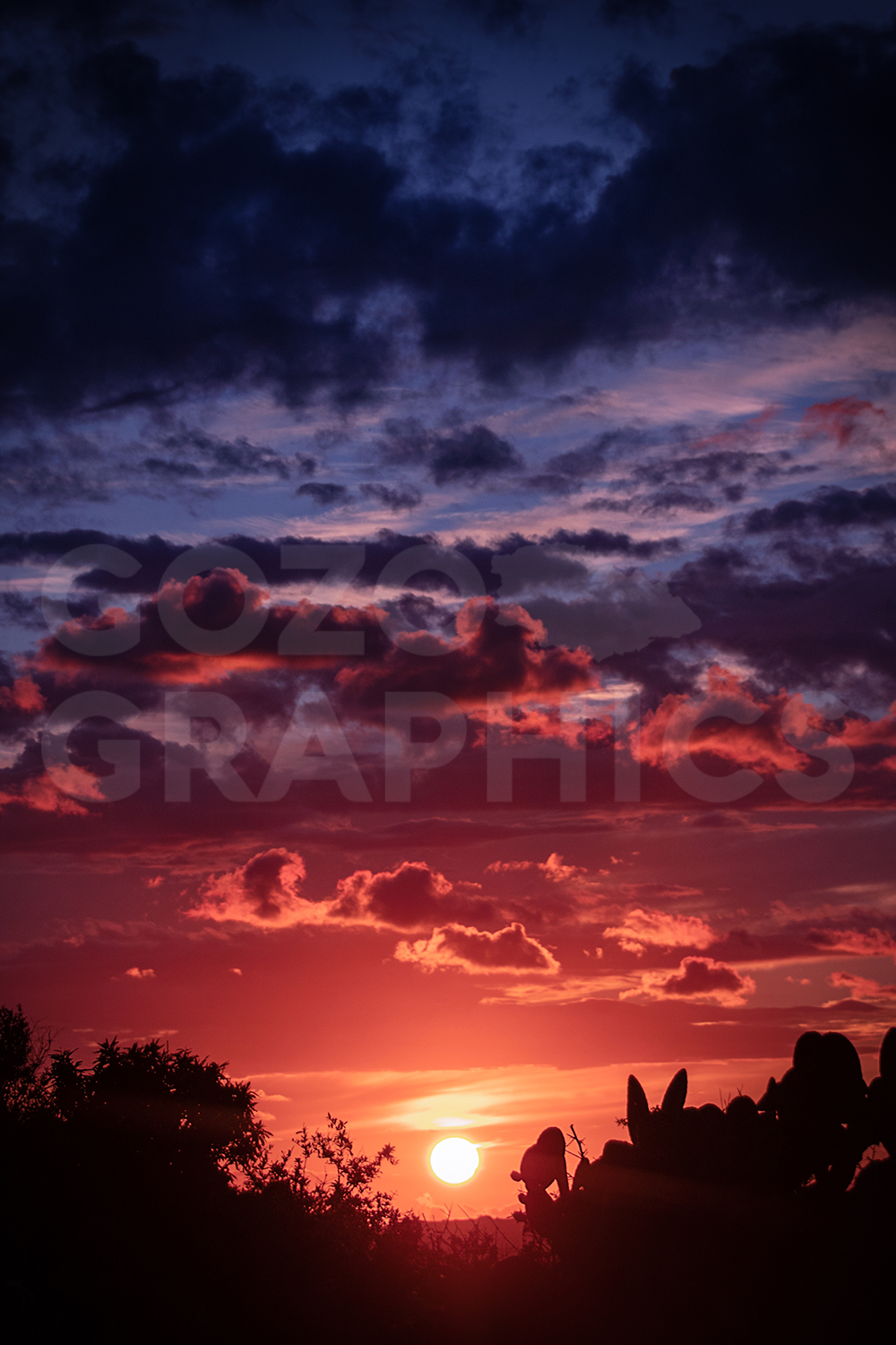 Towards the Sun - Image 3