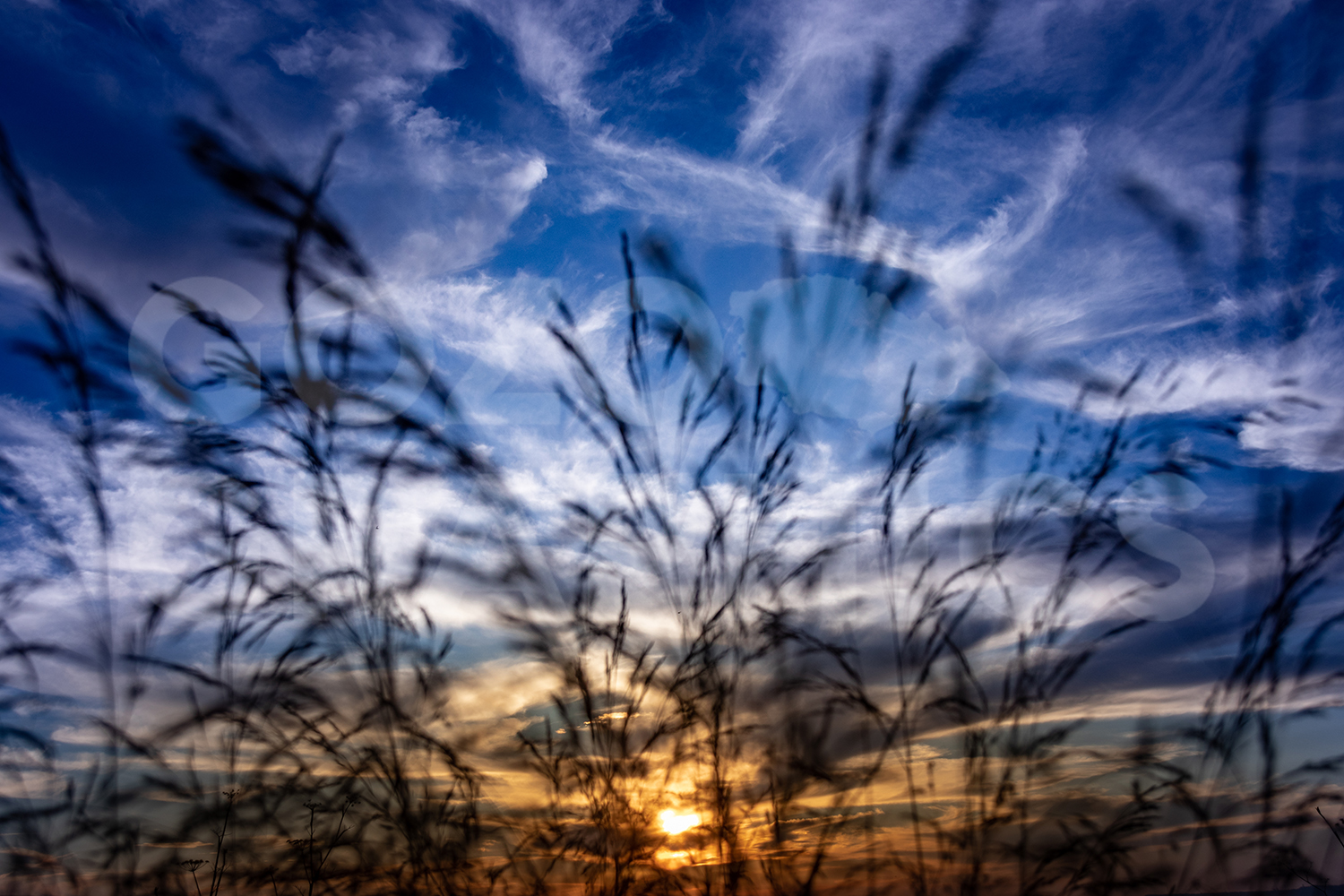 Windy Sundowns - Image 3