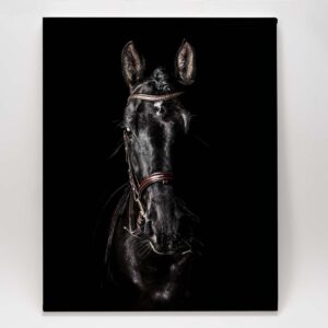 Black Horse Self Portrait