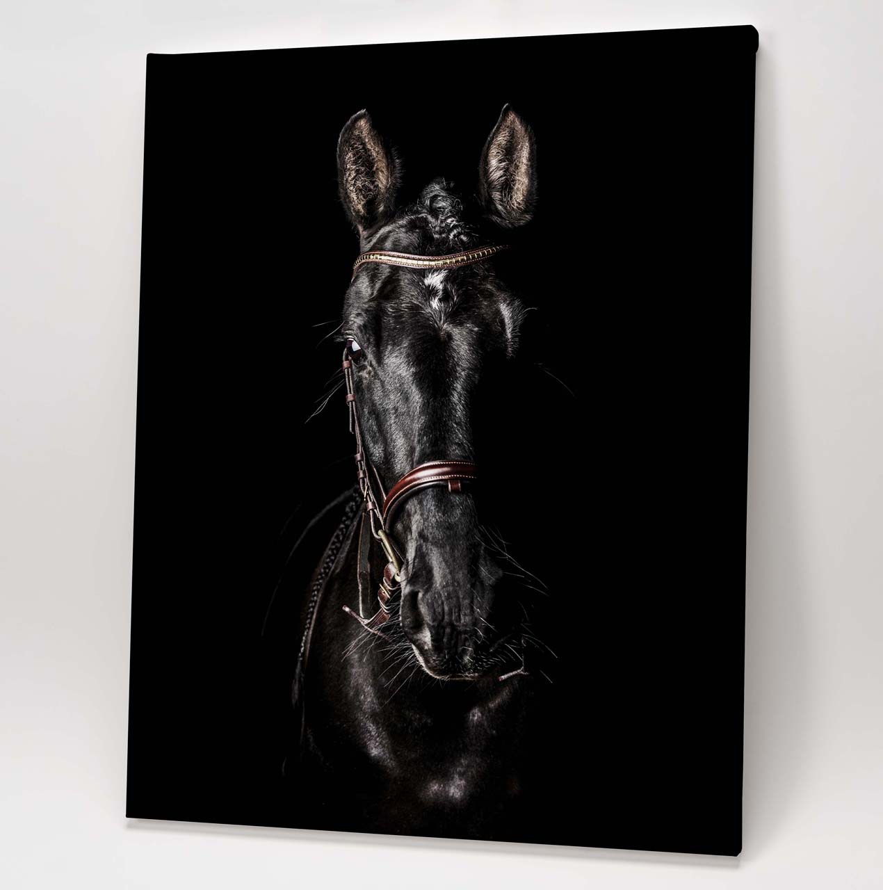 Black Horse Self Portrait - Image 2